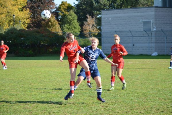 Seneca Sting defeat George Brown Huskies