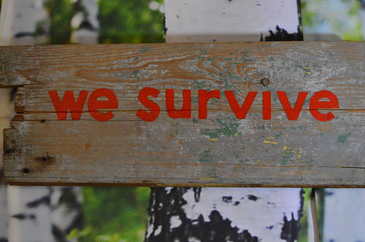we survive